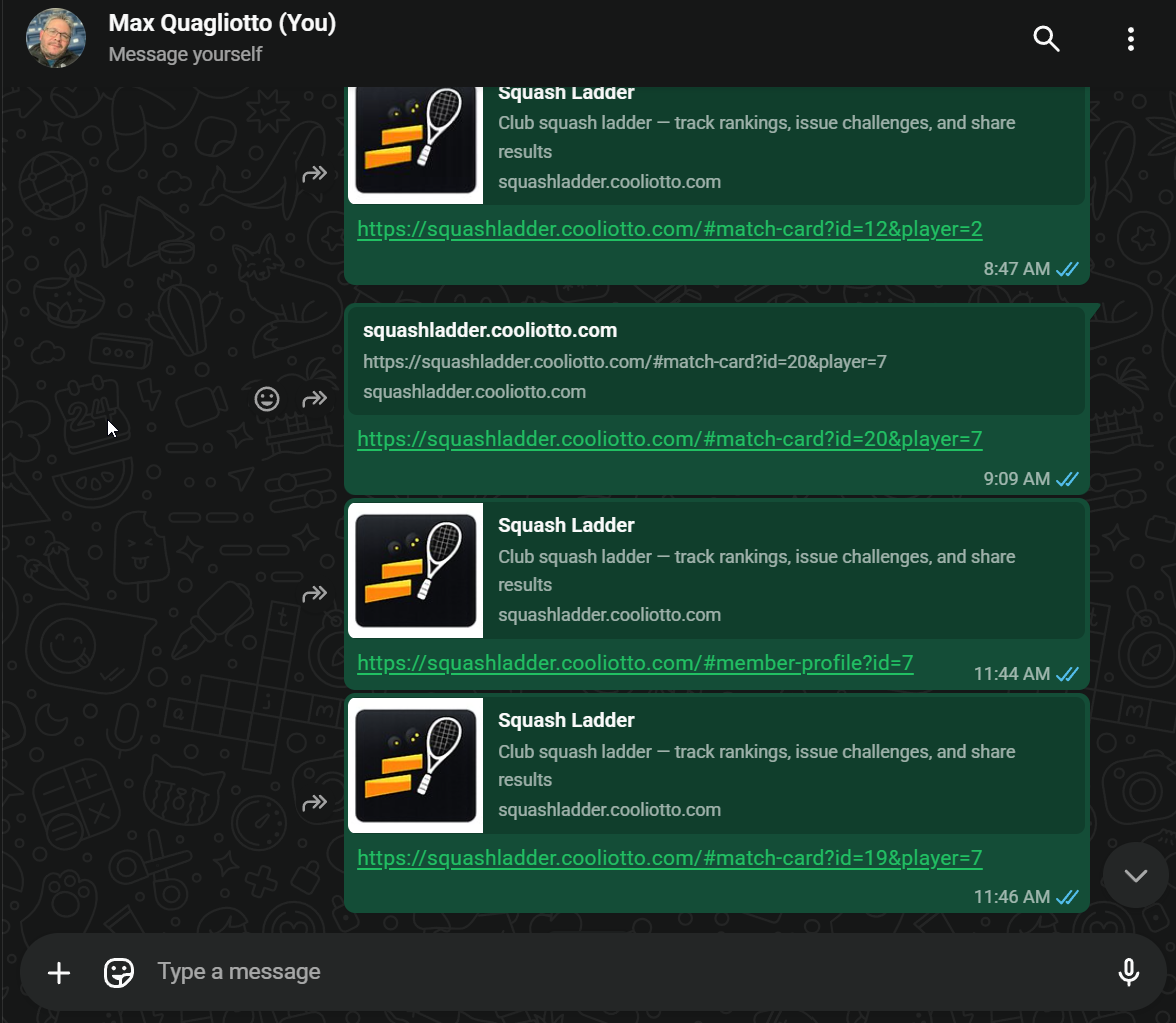 WhatsApp conversation showing the match card link being shared